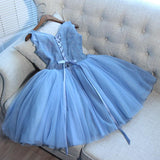 Blue Tulle A Line Lace Appliques Short Homecoming Dress OKC51