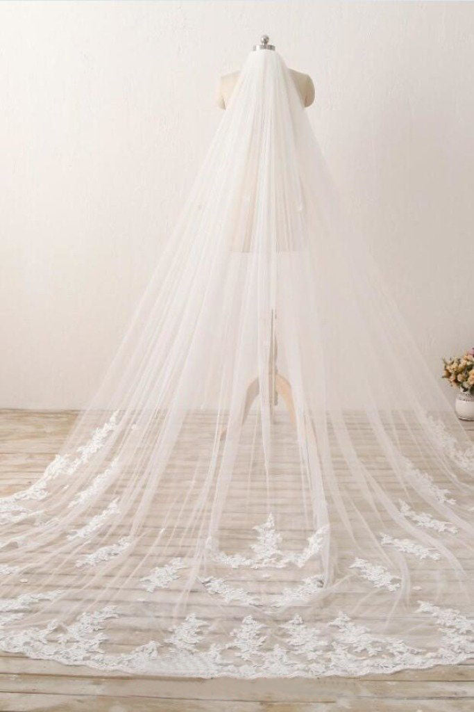 3M Long Embroidered Lace Cathedral Veils for Wedding WV11