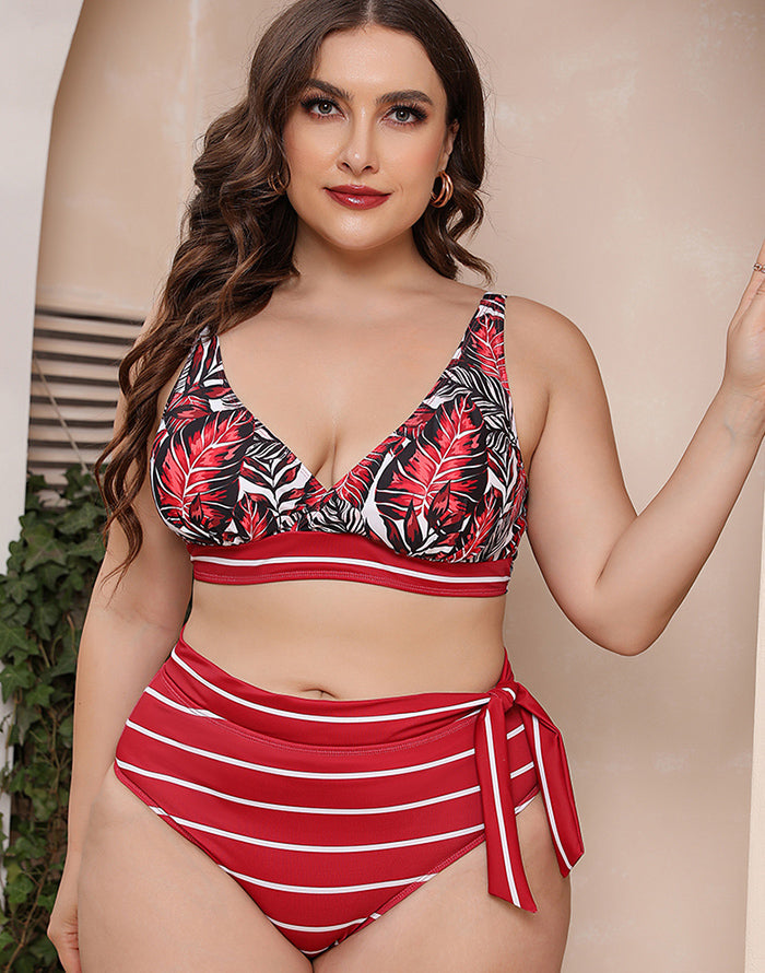 Printed Stripe Plus Size Bikini Main image