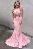 Sexy Mermaid Backless Pink Long Charming Floral Appliques Modest Prom Dress K759