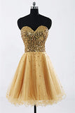Gold Sweetheart Beaded Backless Back Up Lace Homecoming Dresses ED0679