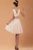 new Pretty V-neck Short Chiffon Simple Homecoming Dress K130