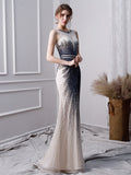 Elegant Mermaid Long Tulle Beading Prom Dress OKL24