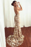 Mermaid V-Neck Spaghetti Straps Backless Lace Appliques Prom Dress OK1082